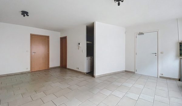 7047479_70727678.jpg